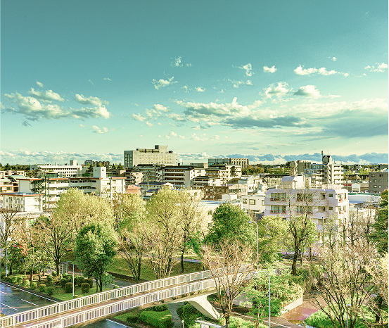 土地活用の写真